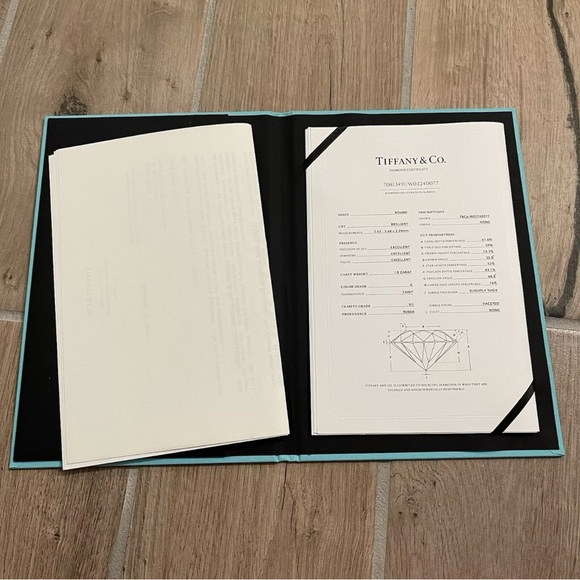 Tiffany & Co Elsa Peretti Diamonds By Yard Platinum Womens Earrings Studs w/ Box - Picture 4 of 7